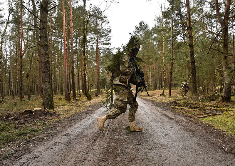 Soldier using a tree branch as camouflage while participating in an exercise